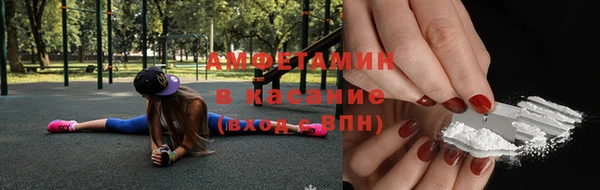 индика Алзамай