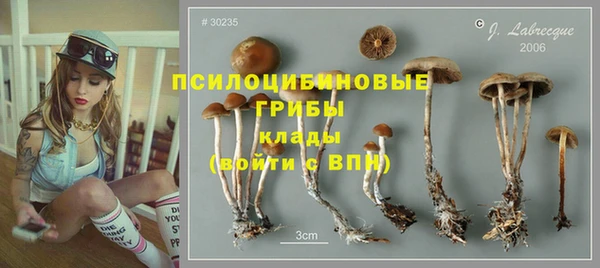 индика Алзамай