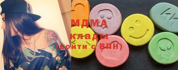 индика Алзамай