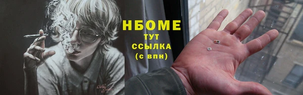 индика Алзамай