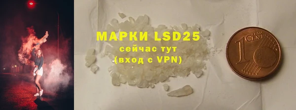 индика Алзамай