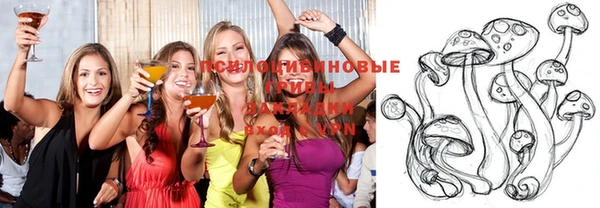 индика Алзамай