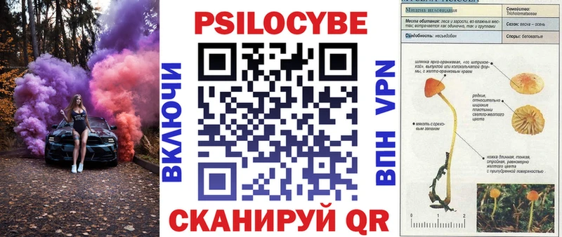 Галлюциногенные грибы Psilocybe  Далматово 
